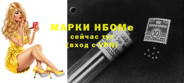 хмурый Ельня