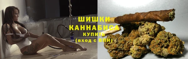 крисы Елабуга