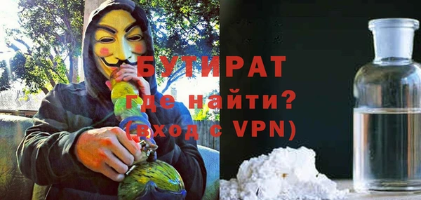 хмурый Ельня