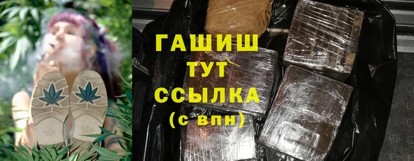 хмурый Ельня