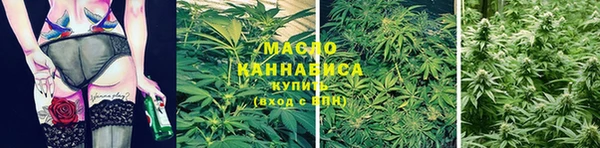 крисы Елабуга