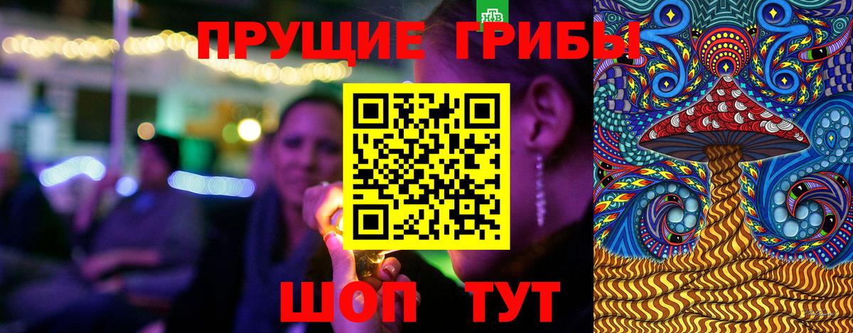 Галлюциногенные грибы Psilocybine cubensis  Вход с VPN  Бийск 