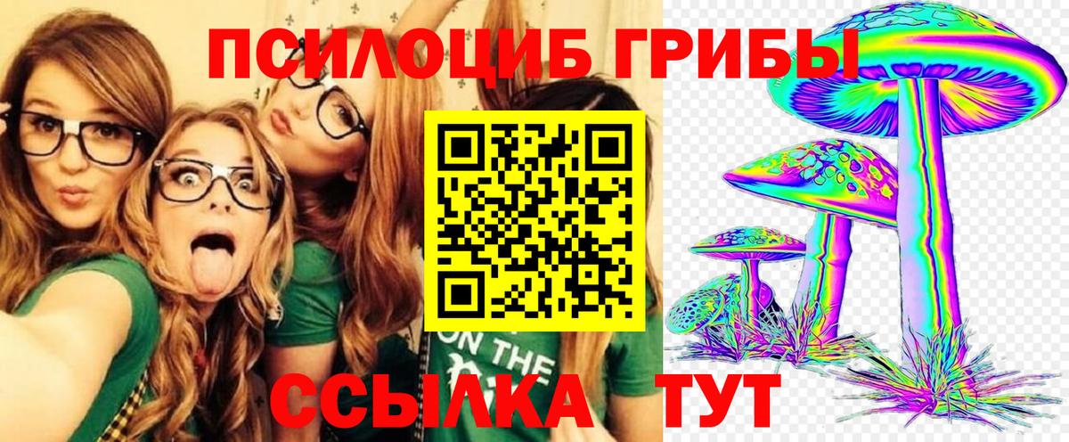 Псилоцибиновые грибы GOLDEN TEACHER Бийск